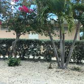Review photo of Boyd's Key West Campground by Alicia F., June 3, 2020