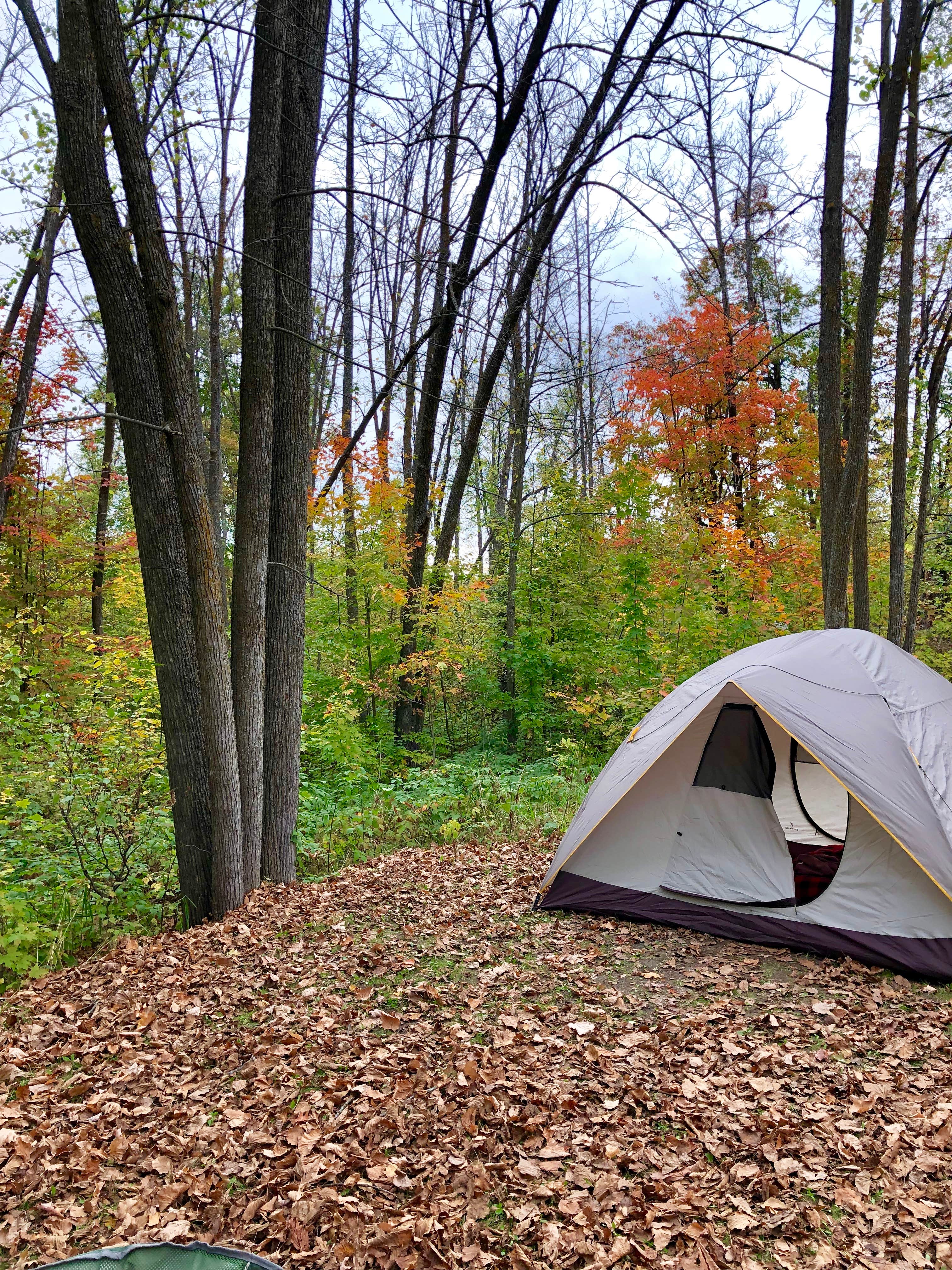 Lindsey H.'s photo of tent camping at Gulch Lake Campground —Paul Bunyan State Forest near Blackduck, MN