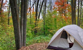 Lindsey H.'s photo at Gulch Lake Campground —Paul Bunyan State Forest near Hackensack, MN