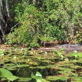 Review photo of Stephen C. Foster State Park Campground by B M., June 3, 2020