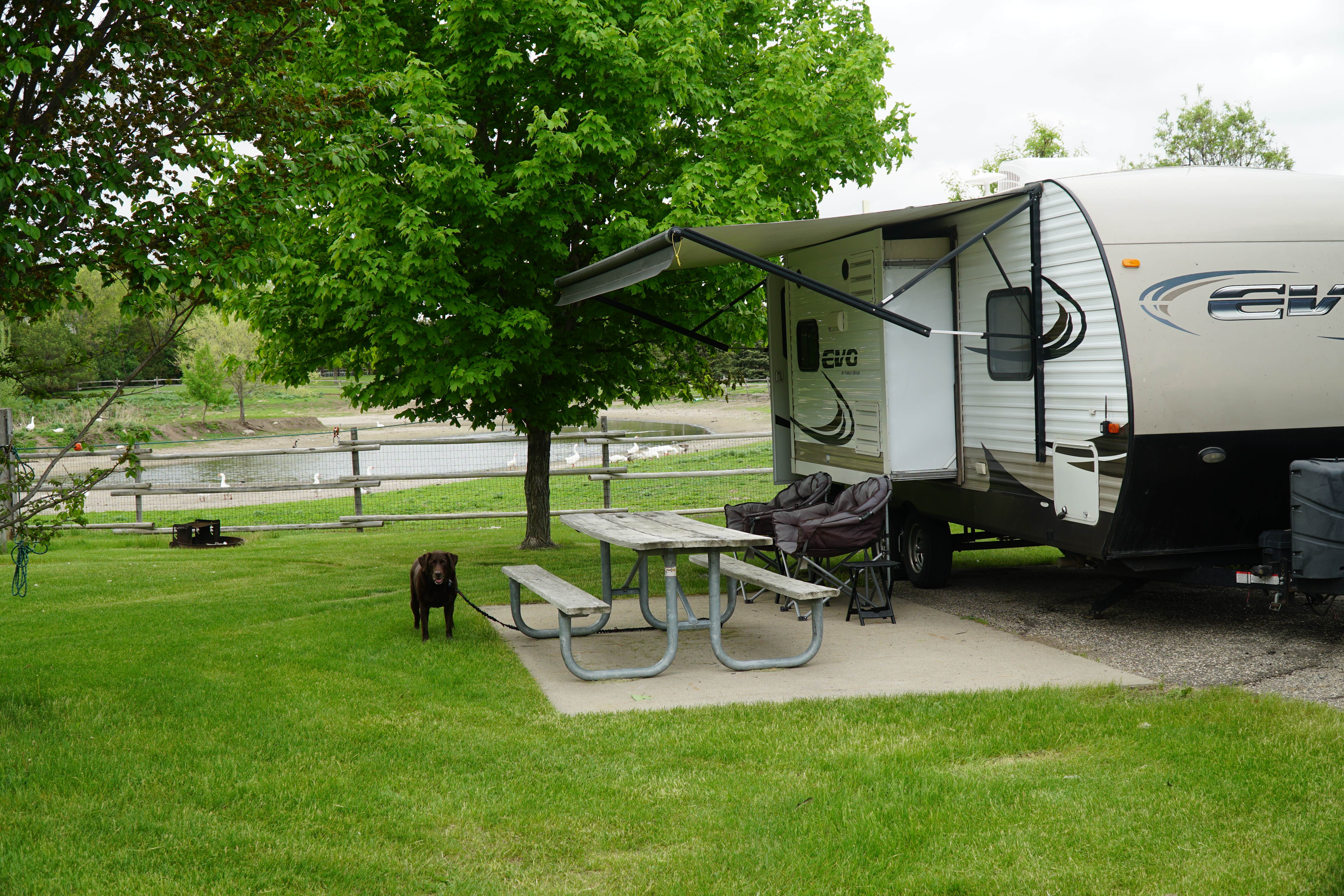 Marc G.'s photo of camping with pets at Wylie Park Campground & Storybook Land near Aberdeen, SD