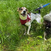 Review photo of Wolf Run State Park Campground by Kellie A., June 3, 2020