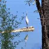 Review photo of Lynx Lake Campground by Patti S., June 3, 2020