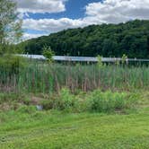 Review photo of Delaney Creek Park by Patty C., June 3, 2020