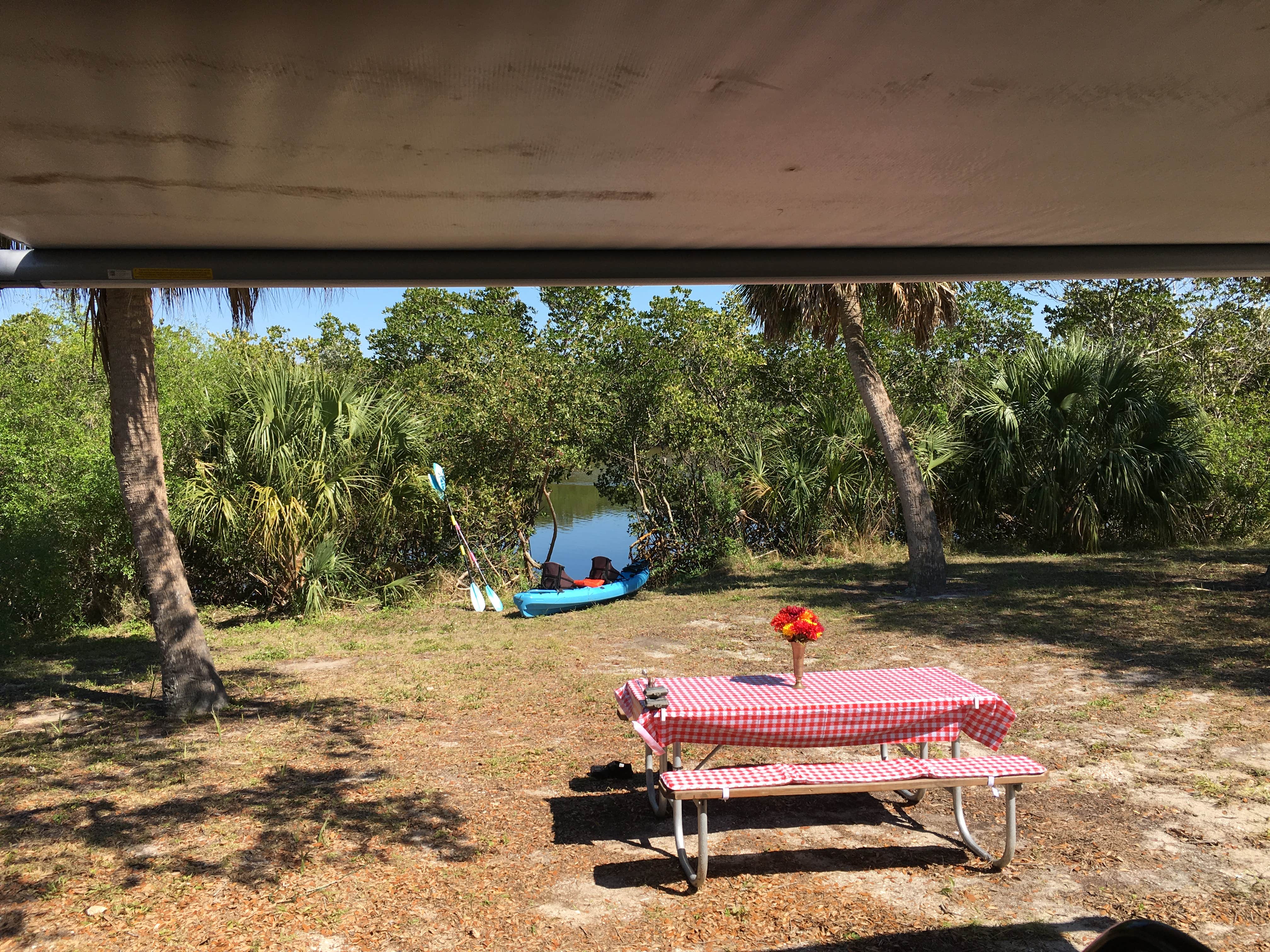 B M.'s photo at E.G. Simmons Regional Park near Tampa, FL