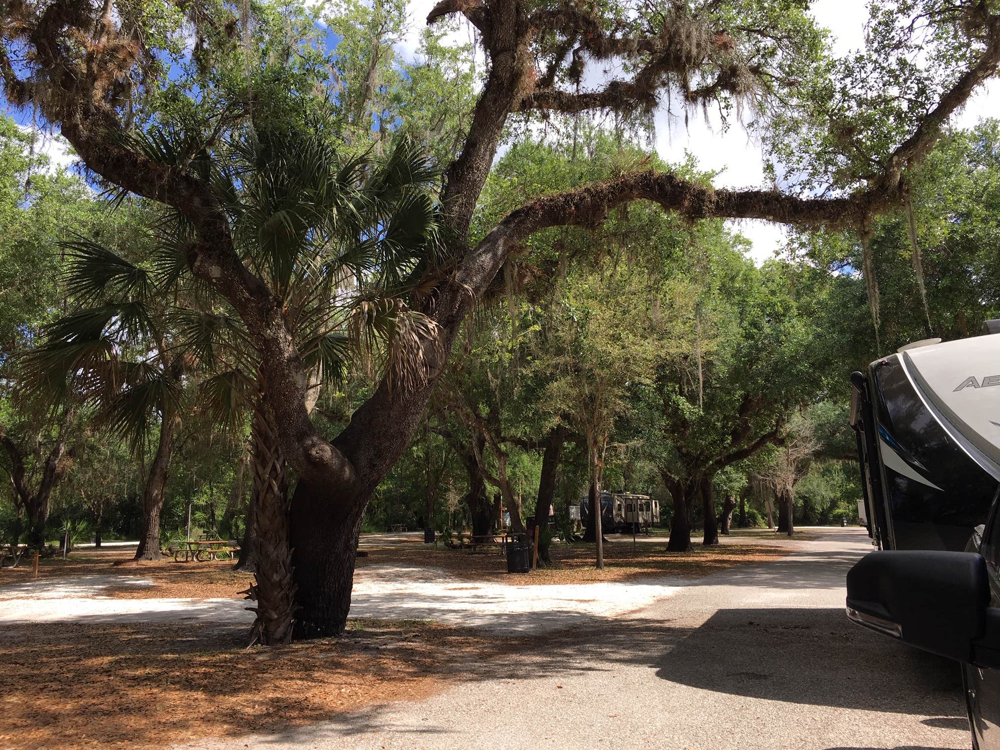 Camper-submitted photo at Brownville Park near Arcadia, FL