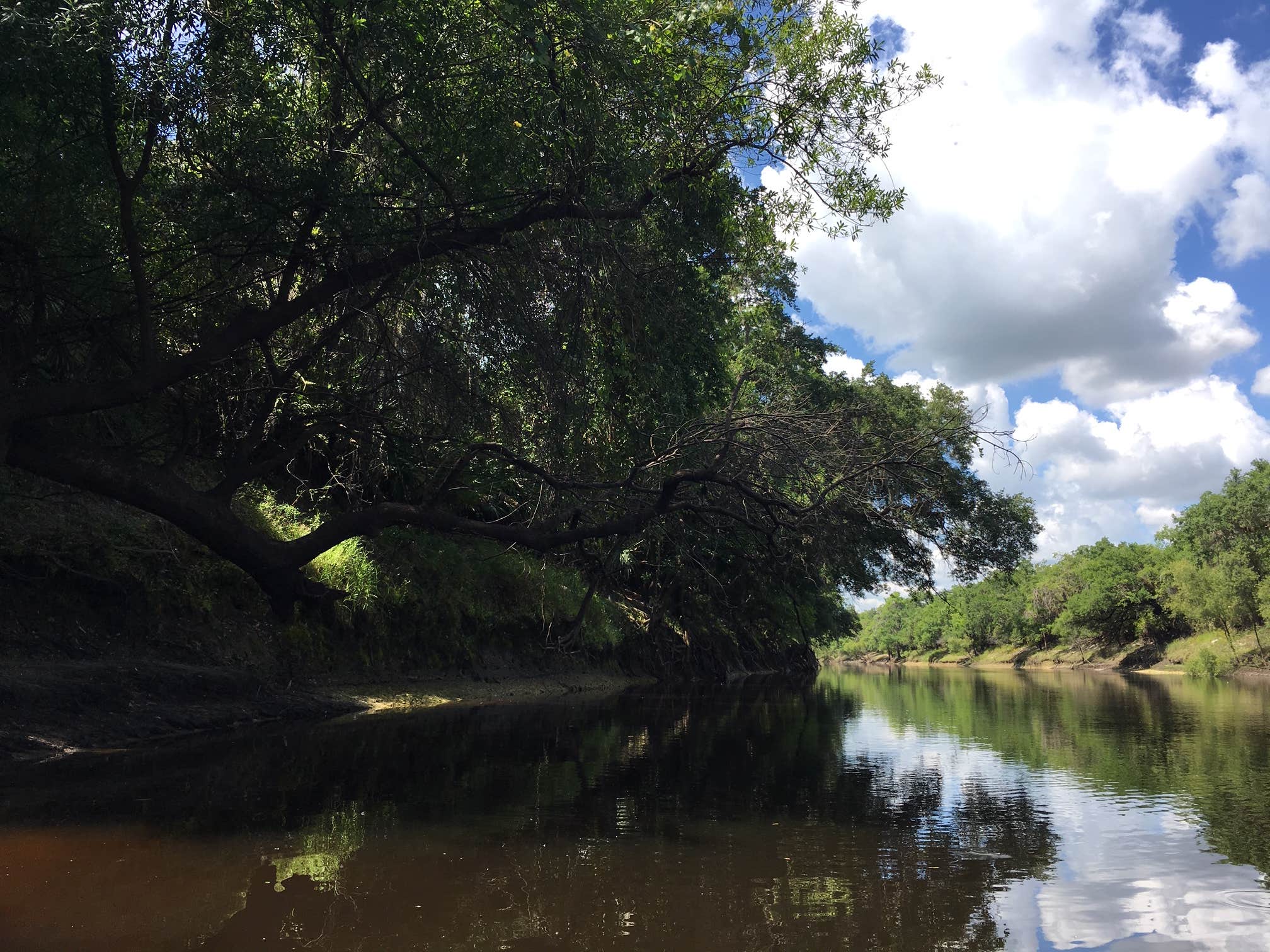 Camper-submitted photo at Brownville Park near Arcadia, FL