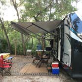 Review photo of Oscar Scherer State Park Campground by B M., June 3, 2020