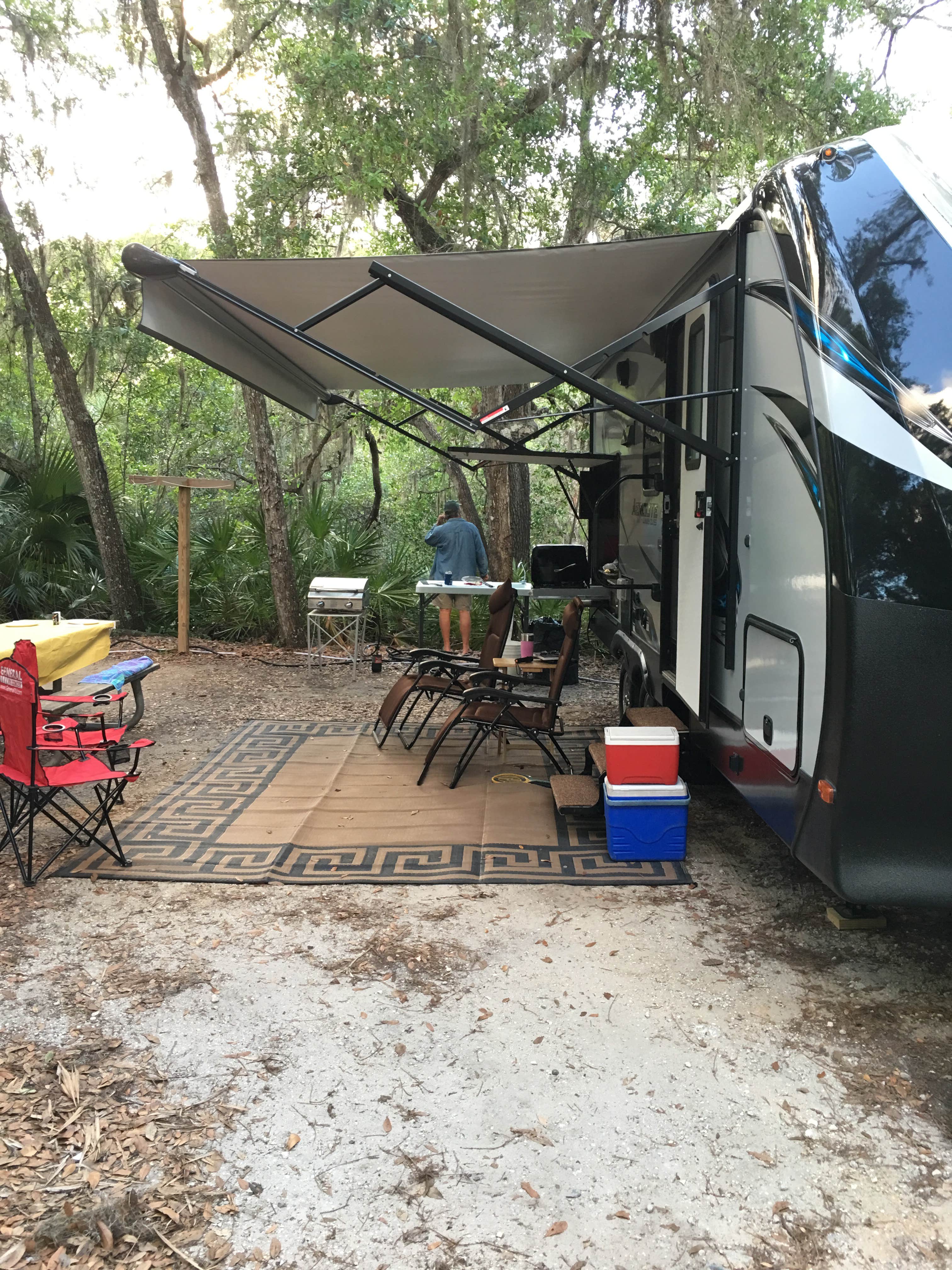 Camper submitted image from Oscar Scherer State Park Campground - 5