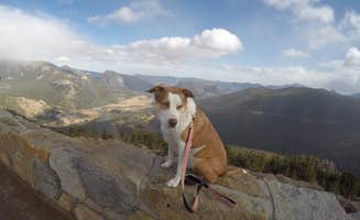 Daniel S.'s photo of camping with pets at Aspenglen Campground — Rocky Mountain National Park near Arapaho & Roosevelt National Forests Pawnee NG