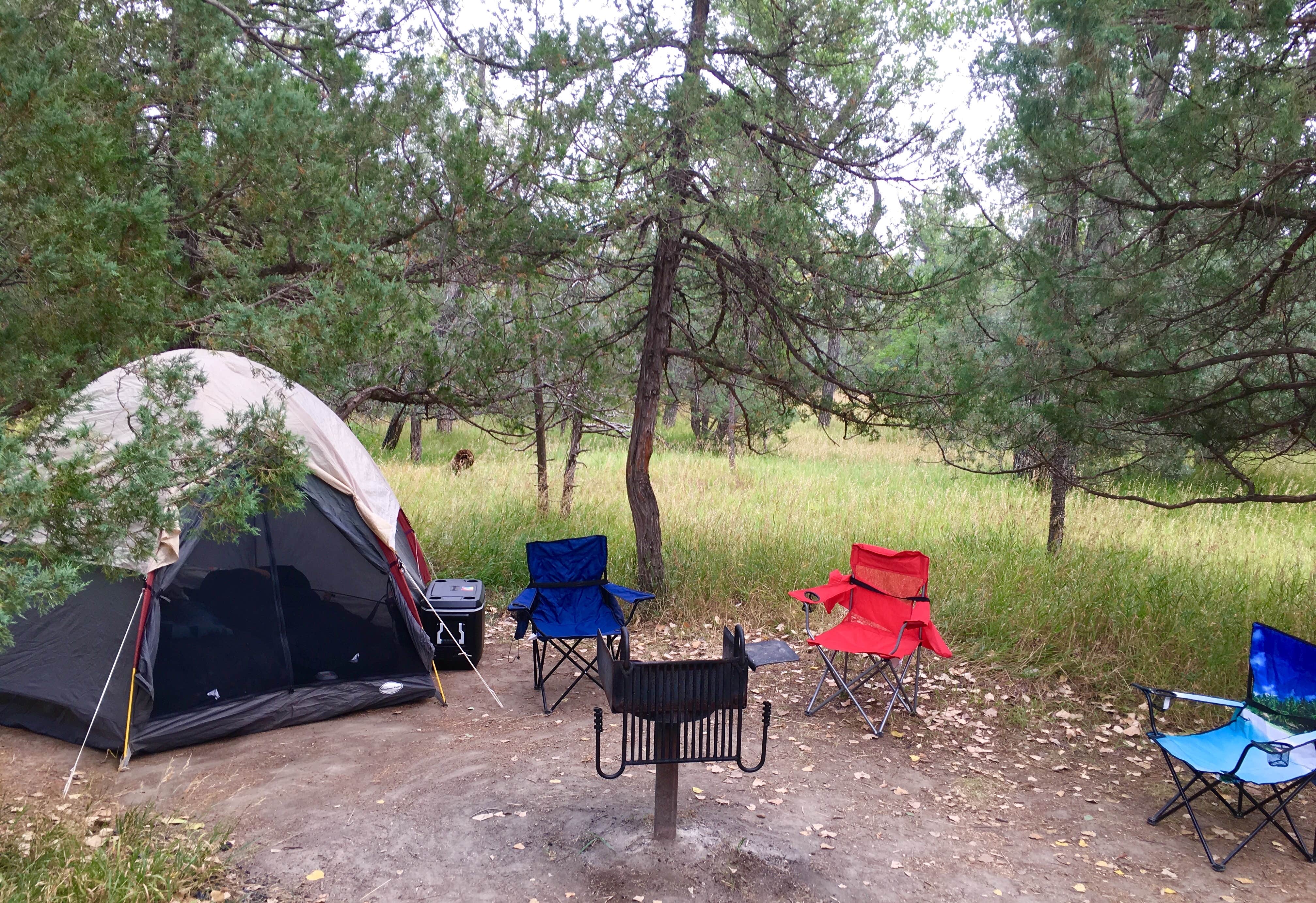 Brandi M.'s photo at Cottonwood Campground — Theodore Roosevelt National Park near Grassy Butte, ND