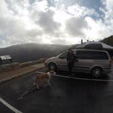 Review photo of Aspenglen Campground — Rocky Mountain National Park by Daniel S., October 13, 2017