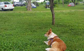 Katharine H.'s photo of camping with pets at Lake View Campground near Lincoln, NE