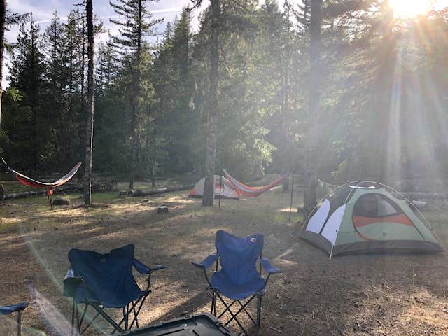 Bridget H.'s photo at McNeil Campground near Welches, OR