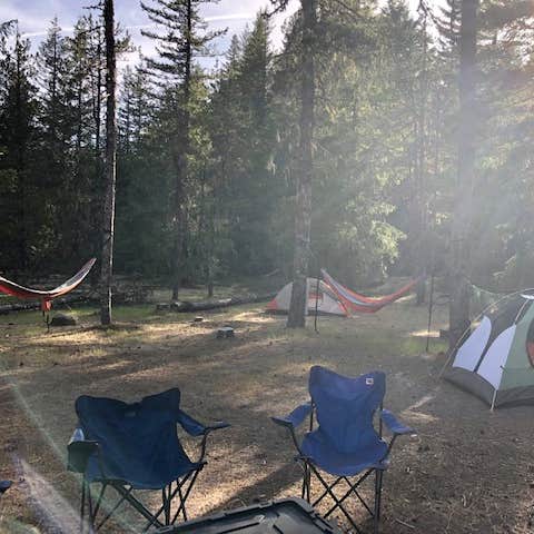 McNeil Campground Camping | The Dyrt