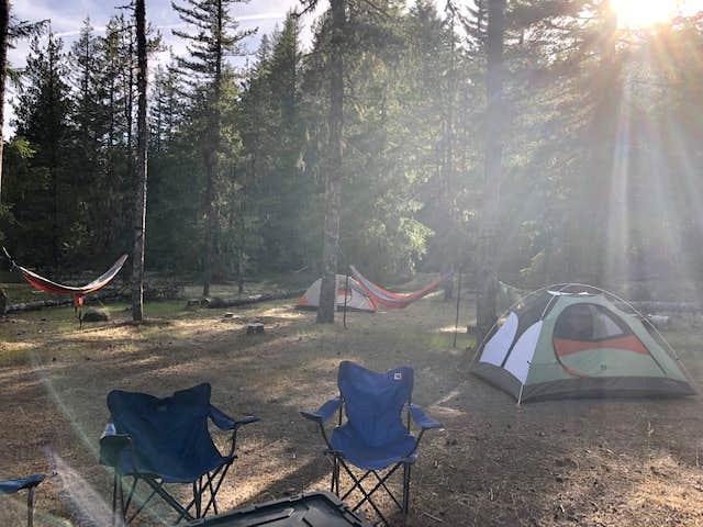 Camper submitted image from McNeil Campground - 5