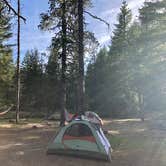 Review photo of McNeil Campground by Bridget H., June 3, 2020