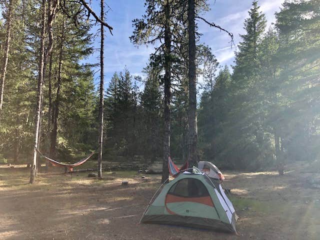 Camper submitted image from McNeil Campground - 3