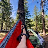 Review photo of McNeil Campground by Bridget H., June 3, 2020