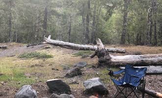 Camping near Camp Creek: McNeil Campground, Rhododendron, Oregon