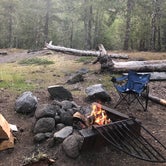Review photo of McNeil Campground by Bridget H., June 3, 2020
