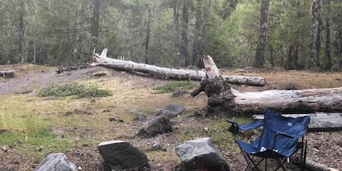 Camper submitted image from McNeil Campground