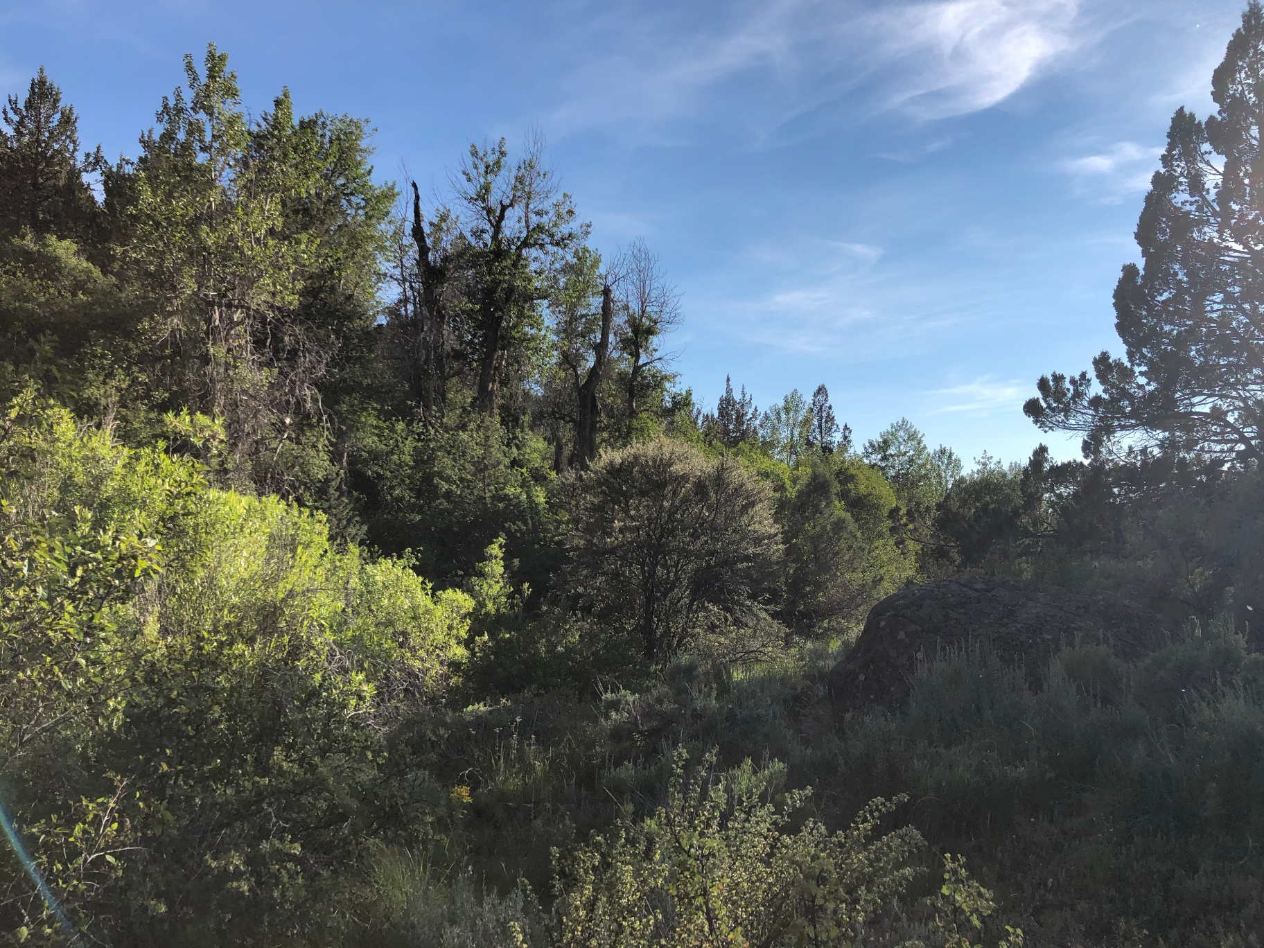 Hike from the campsite