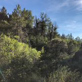 Review photo of South Steens Campground by Bridget H., June 4, 2020