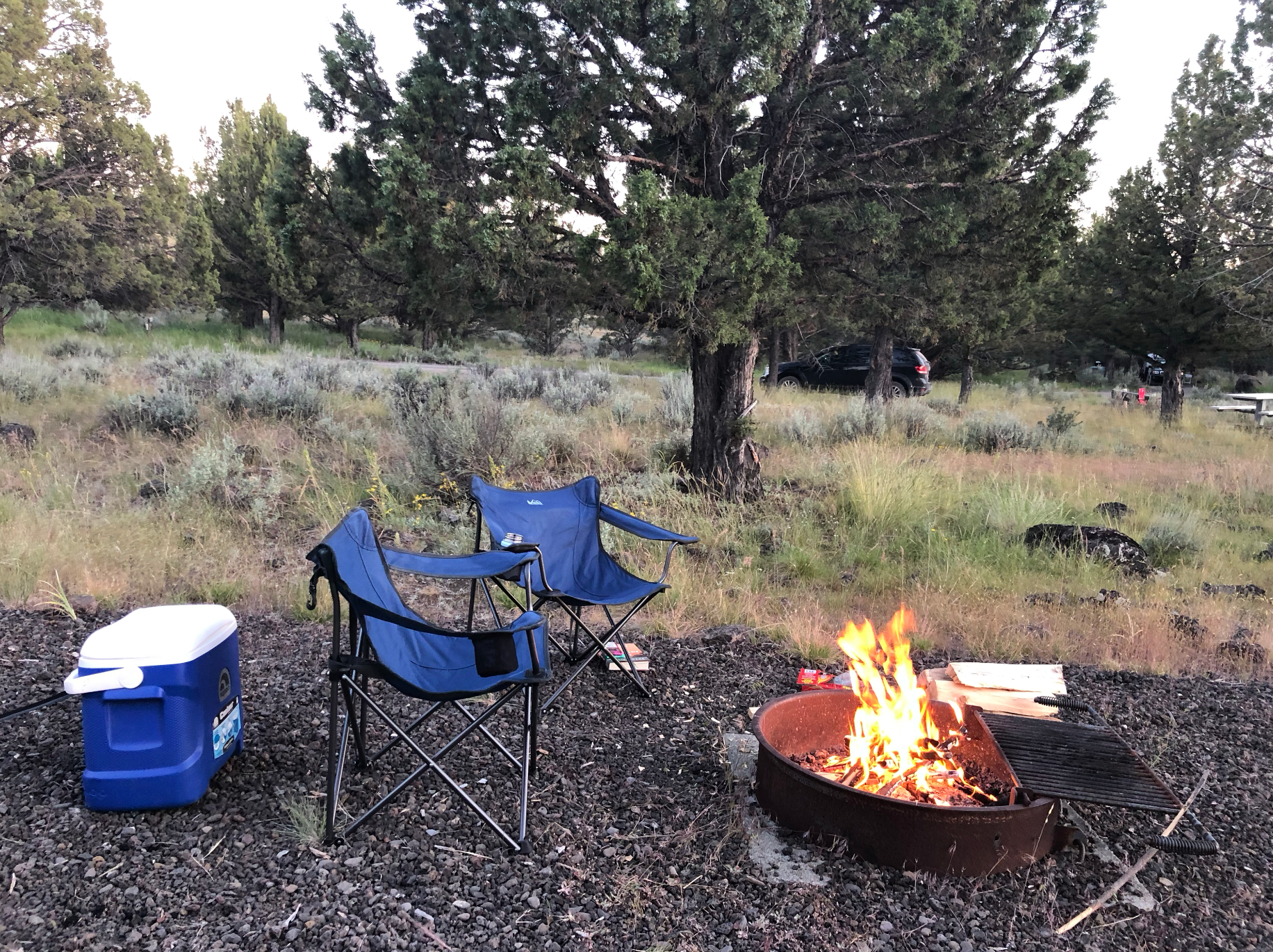Bridget H.'s photo at South Steens Campground near Frenchglen, OR