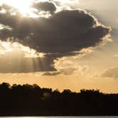 Review photo of Paynes Prairie Preserve State Park Campground by B M., June 4, 2020