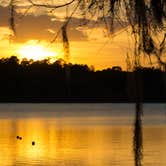 Review photo of Paynes Prairie Preserve State Park Campground by B M., June 4, 2020