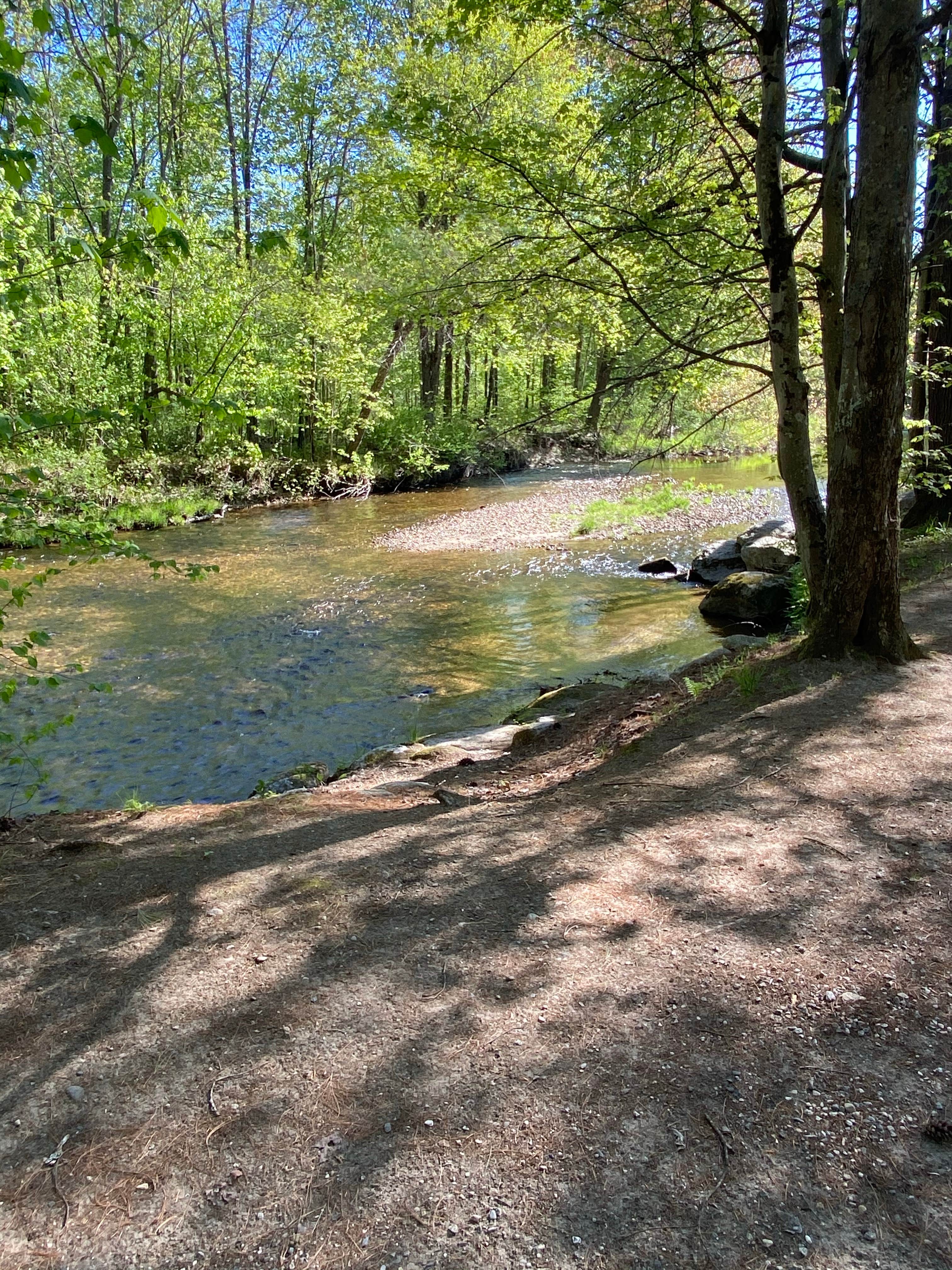 Camper submitted image from Northstar Campground - 1