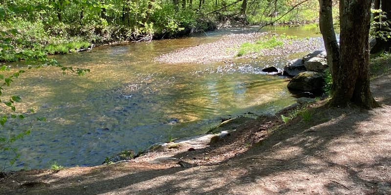 Camper submitted image from Northstar Campground