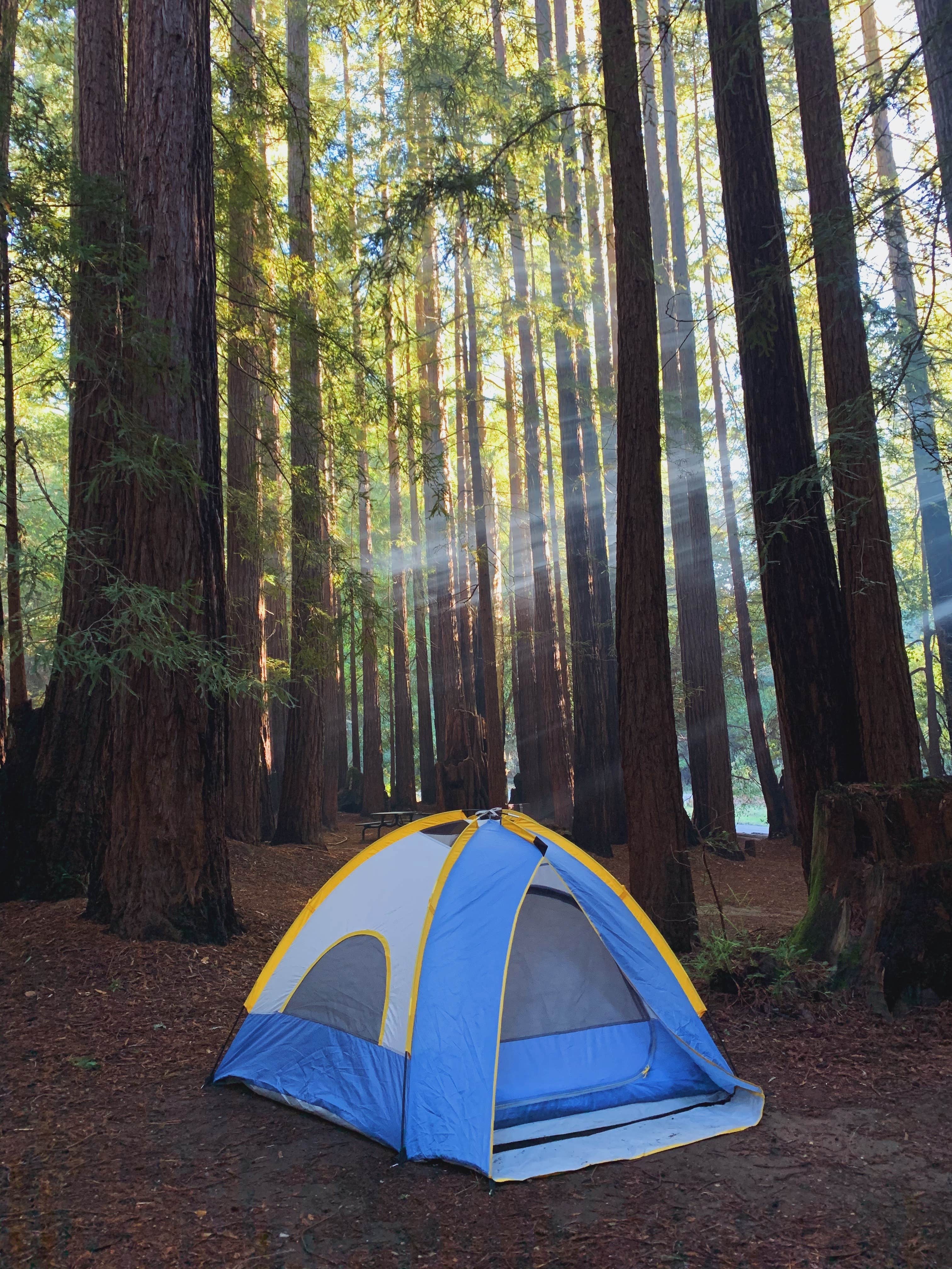 Camper submitted image from Little Basin Cabins and Campground — Big Basin Redwoods State Park - 5