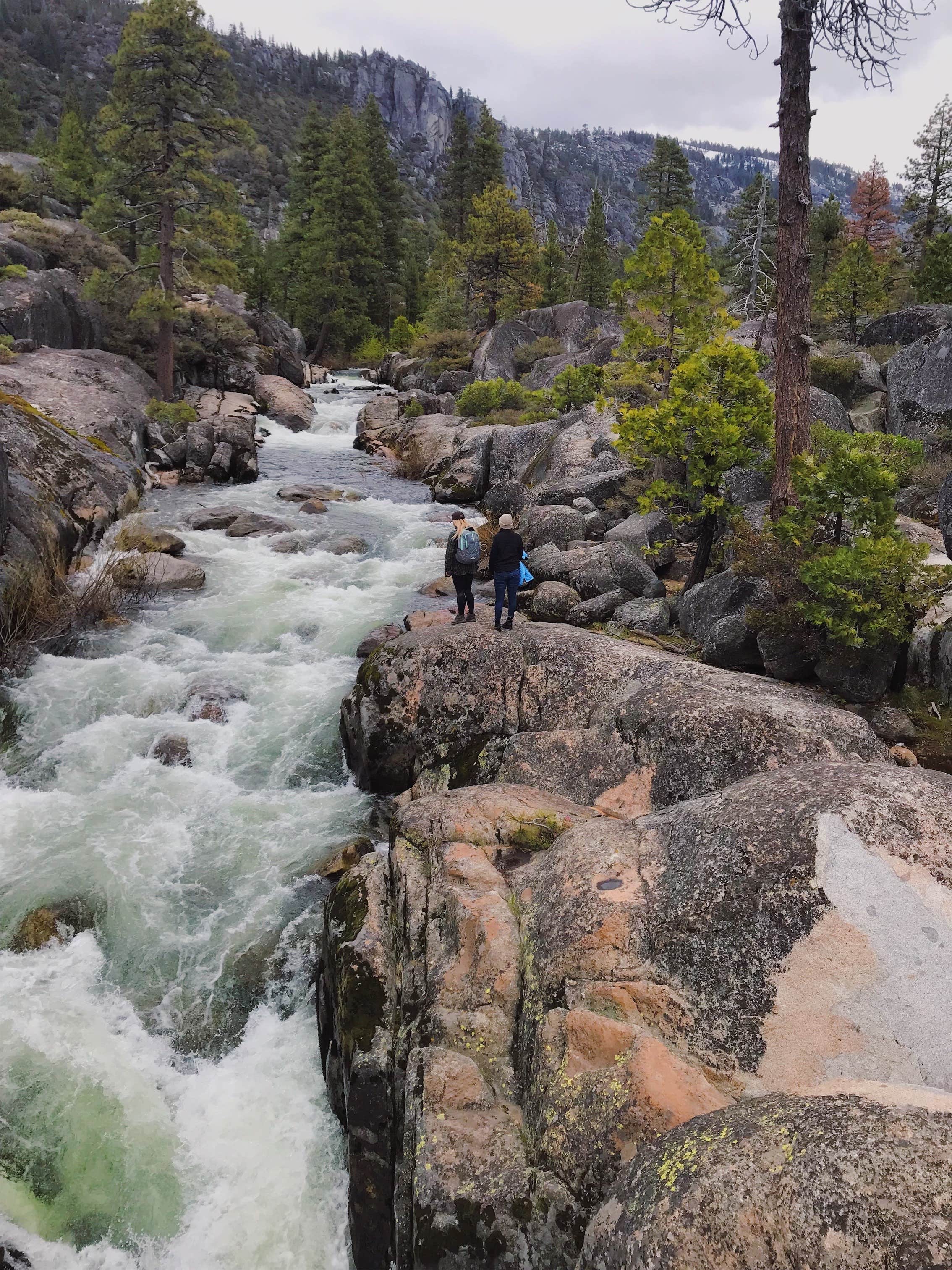 Camper-submitted photo at Pinecrest Campground near Coleville, CA