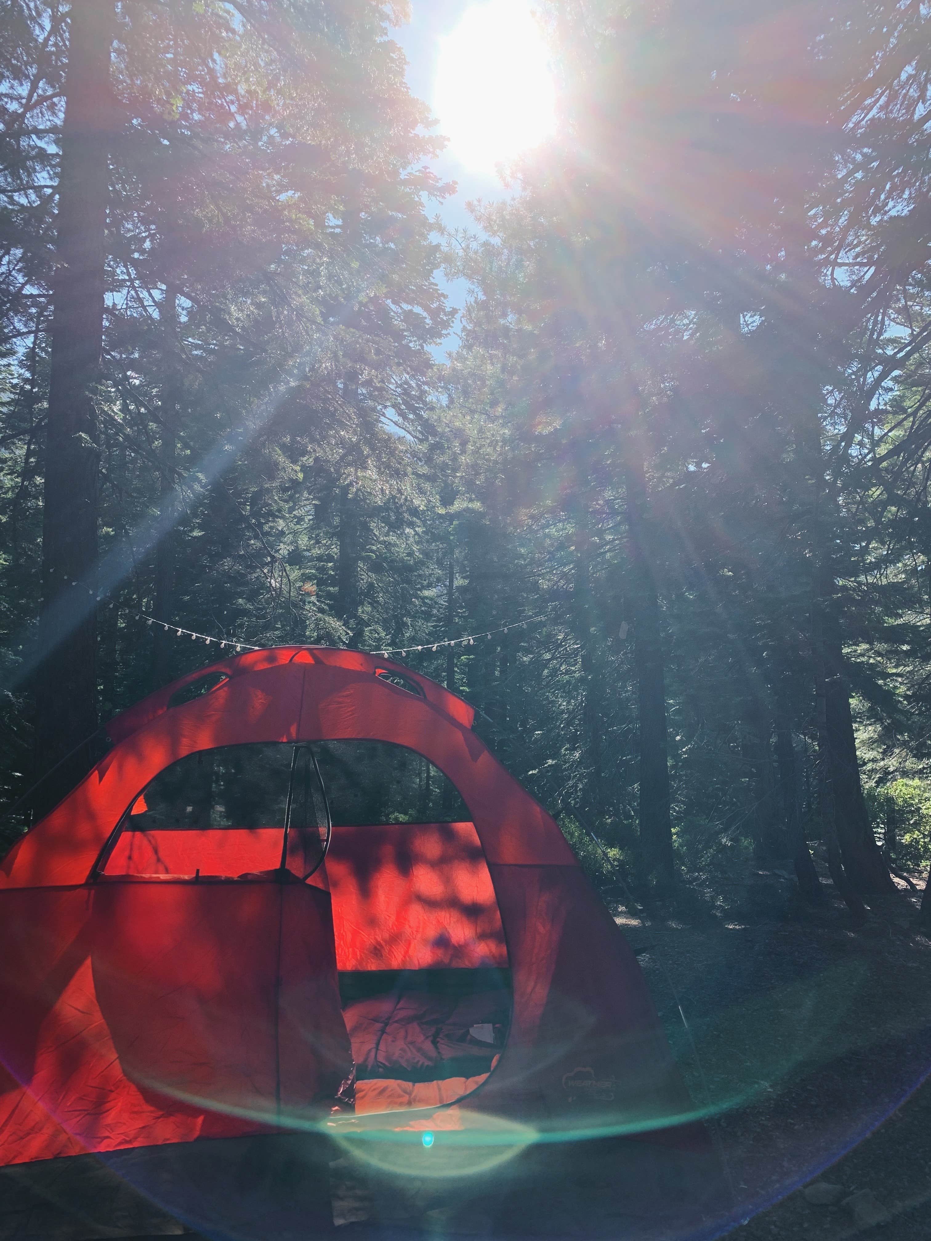 Azizah T.'s photo at D.L. Bliss State Park Campground near Glenbrook, NV