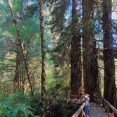 Review photo of Gold Bluffs Beach Campground — Prairie Creek Redwoods State Park by Azizah T., June 4, 2020