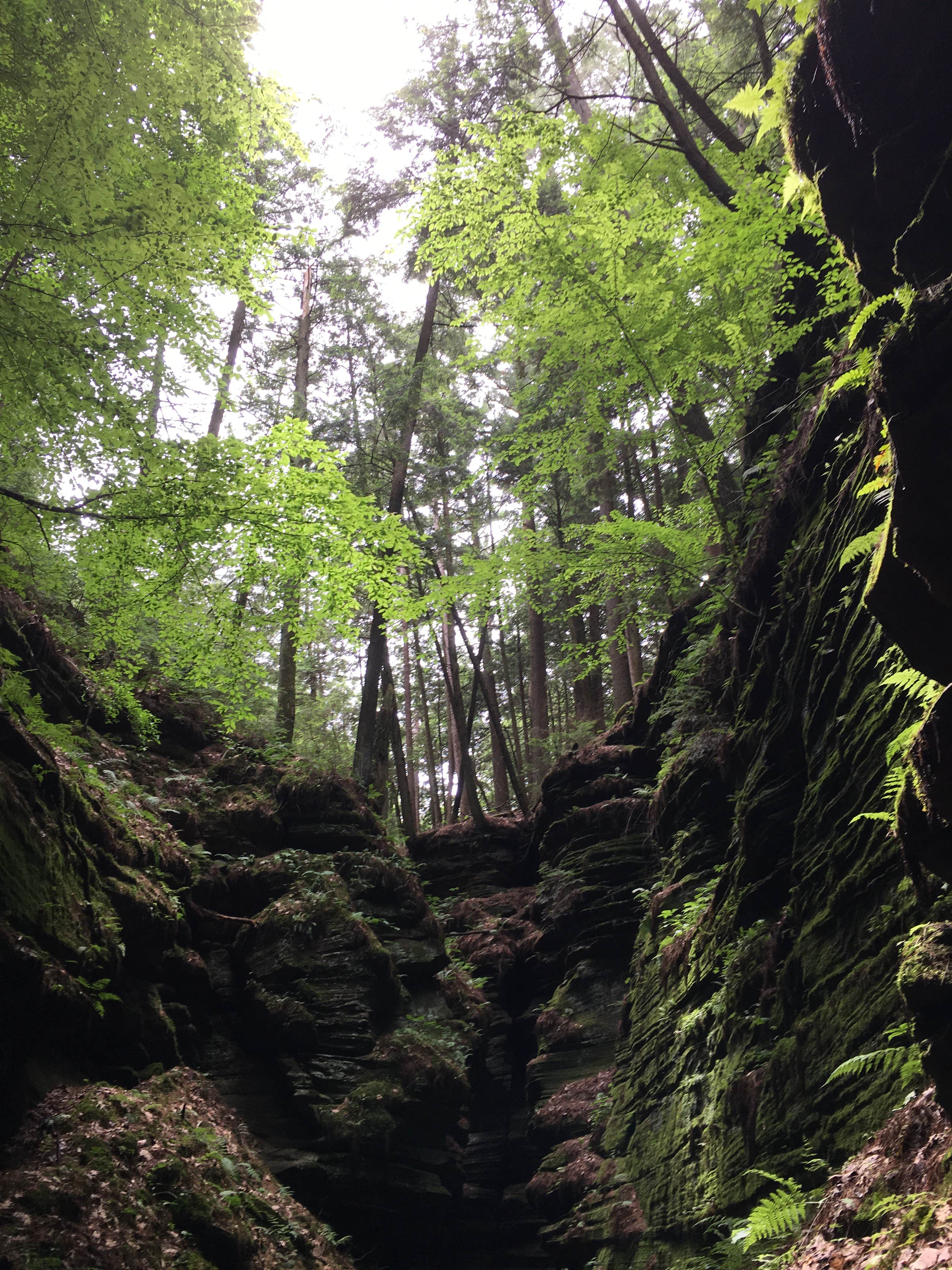 Camper-submitted photo at Fox Hill RV Park & Campground near Wisconsin Dells, WI