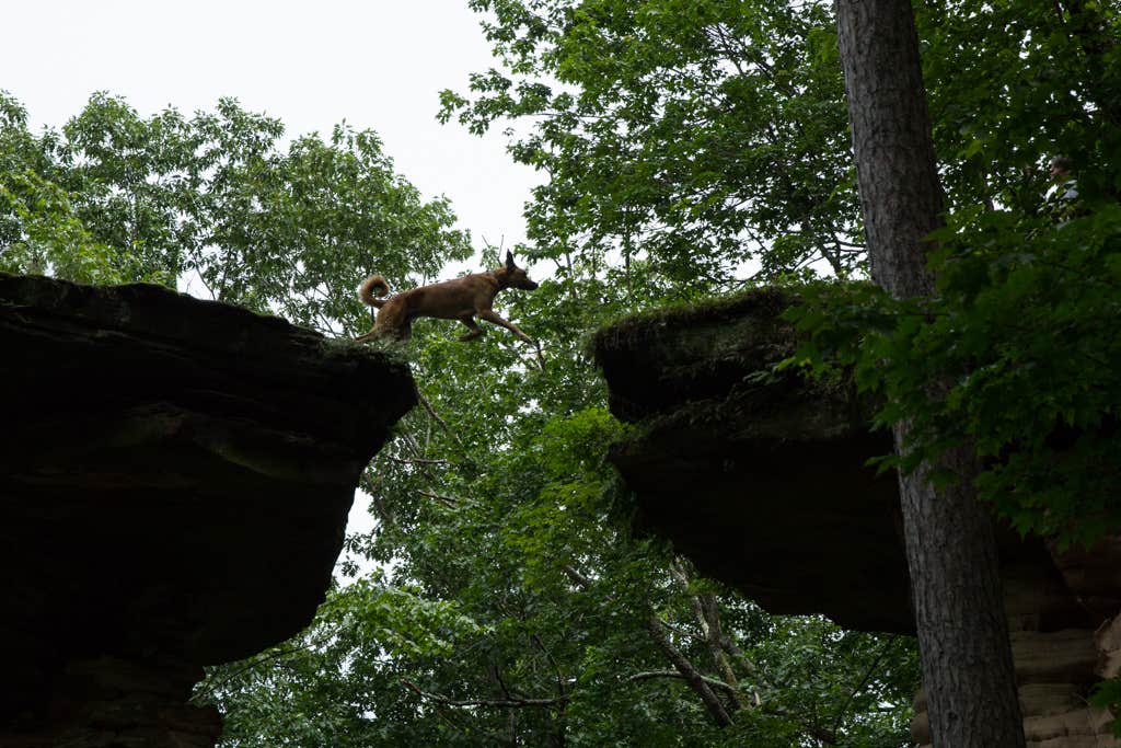 Camper-submitted photo at Fox Hill RV Park & Campground near Wisconsin Dells, WI