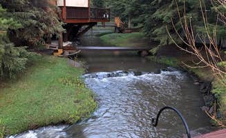 Ellen W.'s photo of a cabin at Fish'n Fry Campground and Cabins near Silver City, SD