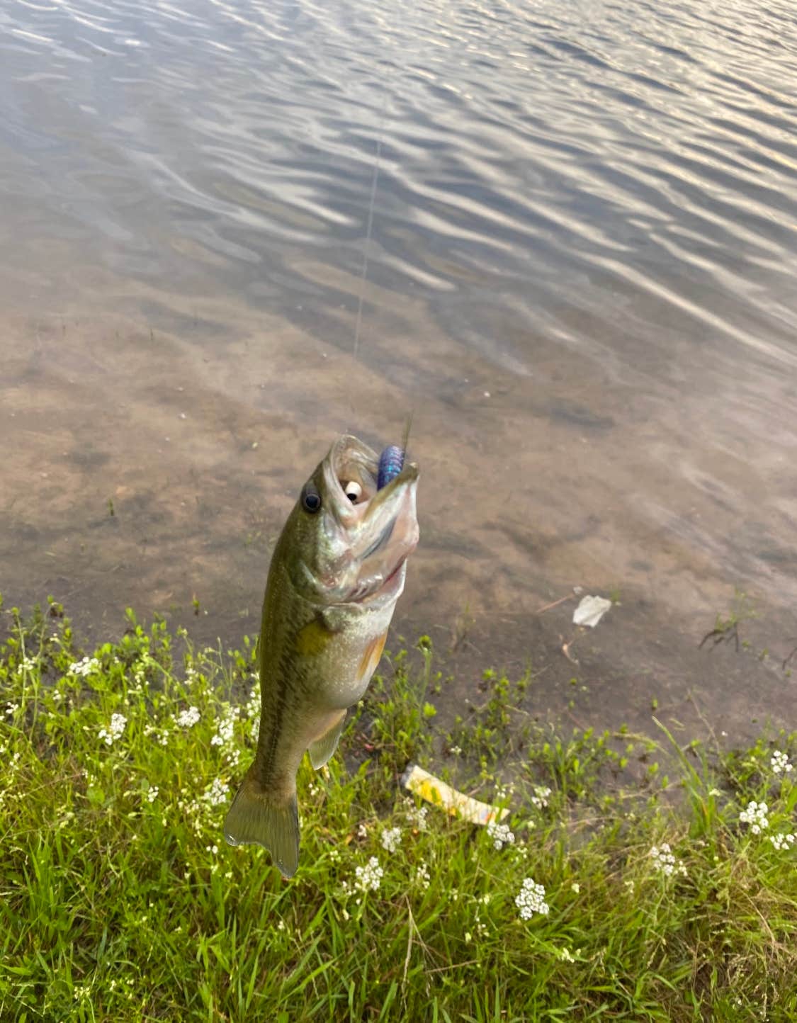 Camper-submitted photo at By The Lake RV Park & Resort near Marietta, OK
