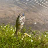 Review photo of By The Lake RV Park & Resort by Carrie K., June 4, 2020