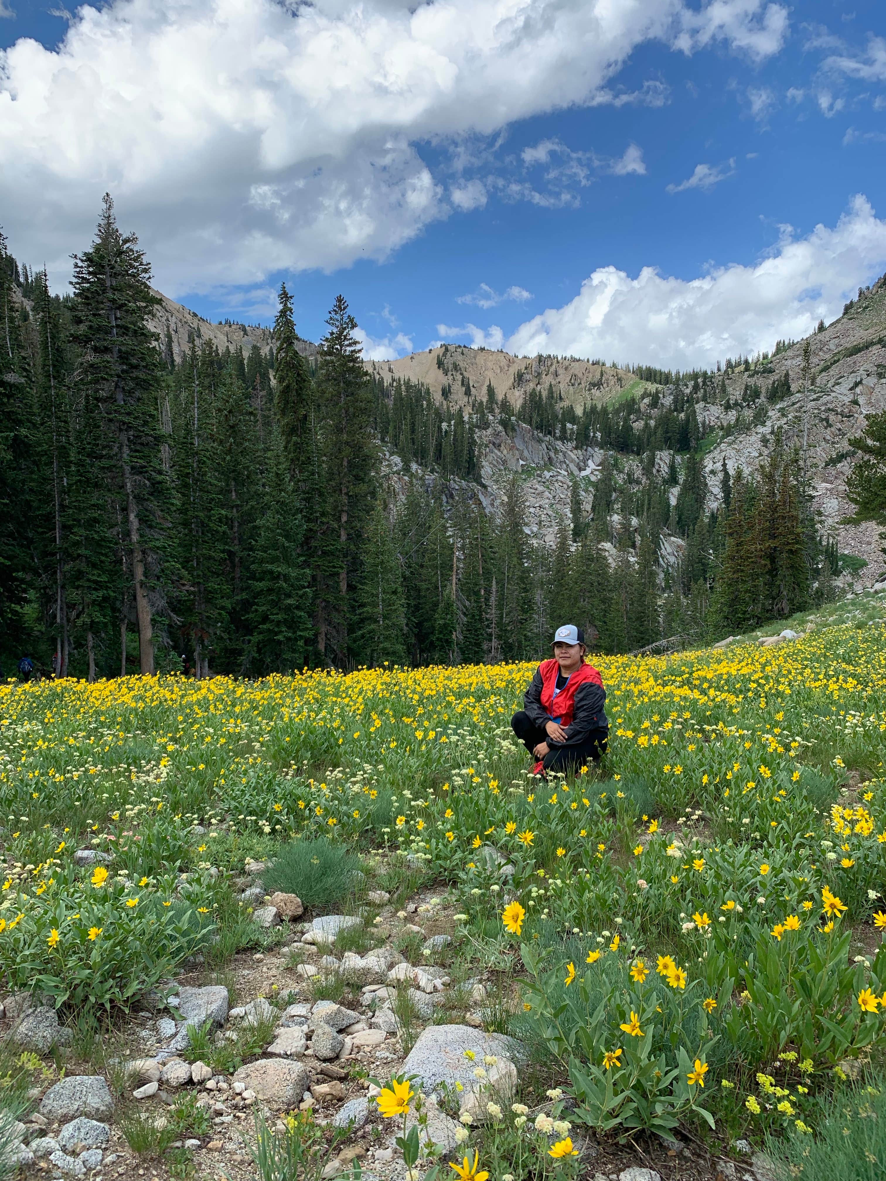 Camper-submitted photo at Cottonwood Campground near Nephi, UT