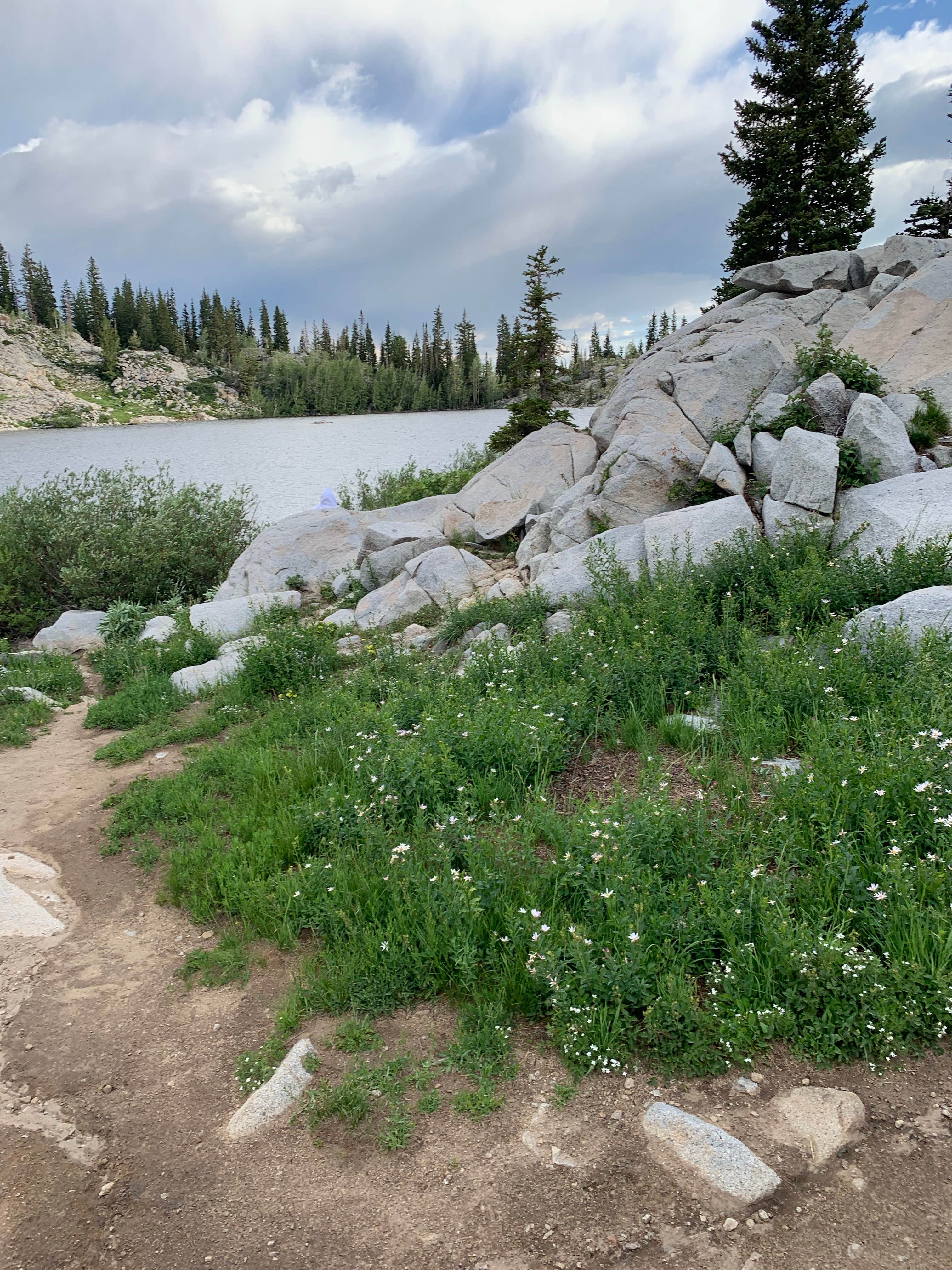 Camper-submitted photo at Cottonwood Campground near Nephi, UT