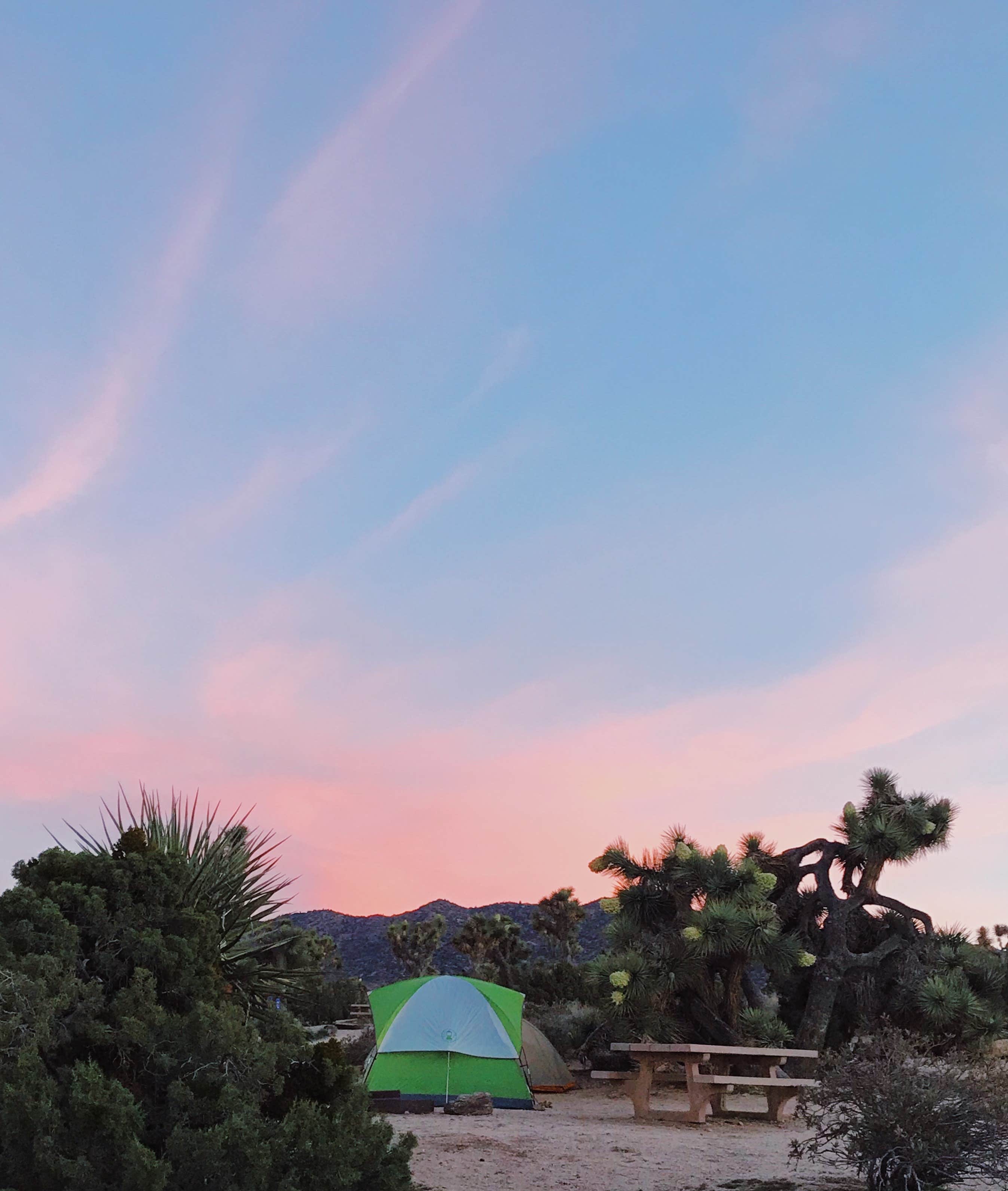Azizah T.'s photo at Black Rock Campground — Joshua Tree National Park near Yucca Valley, CA