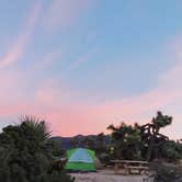 Review photo of Black Rock Campground — Joshua Tree National Park by Azizah T., June 4, 2020