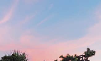 Azizah T.'s photo at Black Rock Campground — Joshua Tree National Park near Yucca Valley, CA