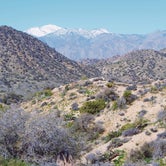 Review photo of Black Rock Campground — Joshua Tree National Park by Azizah T., June 4, 2020