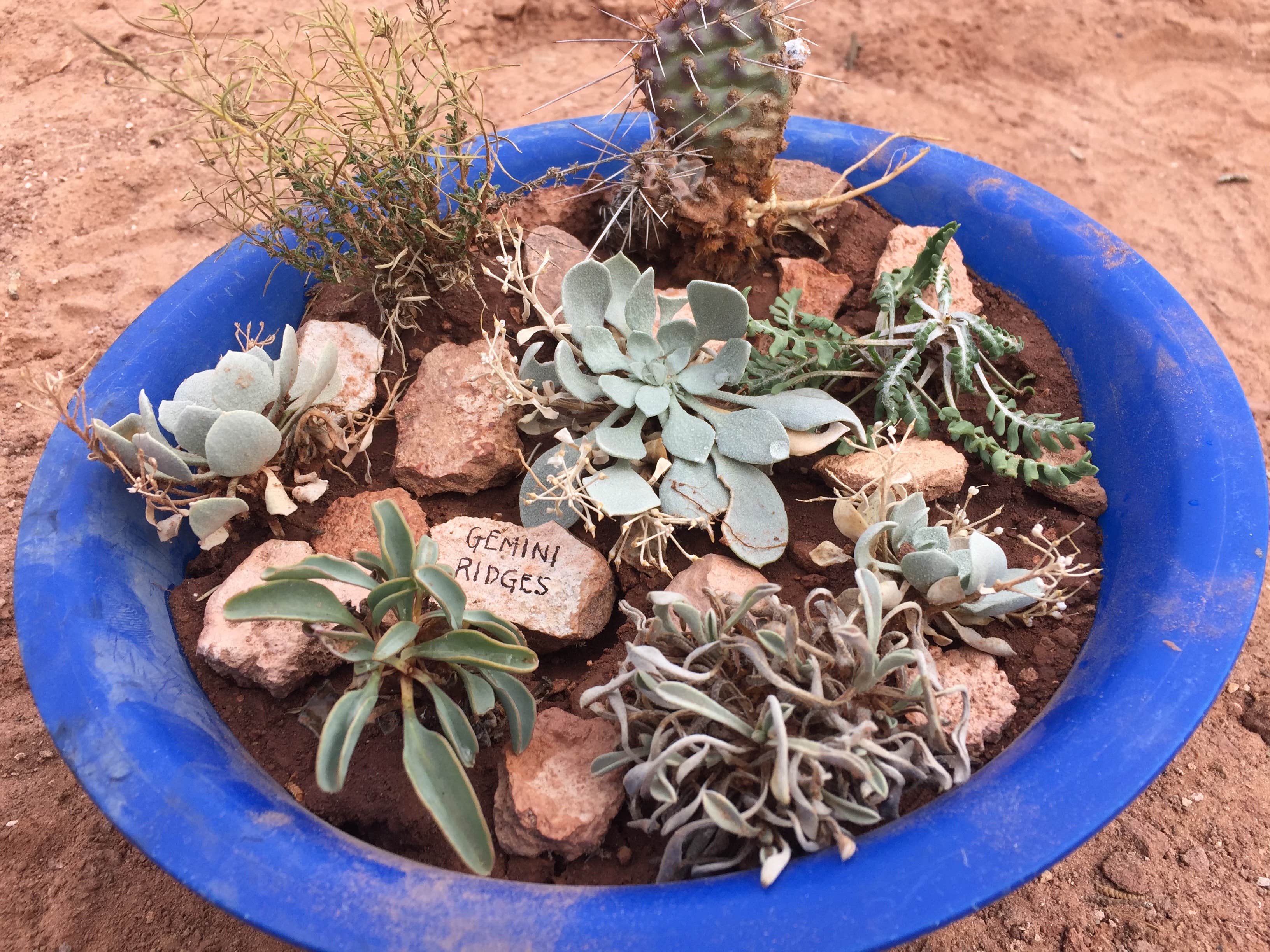Camper-submitted photo at Needles Outpost Campground near Canyonlands National Park