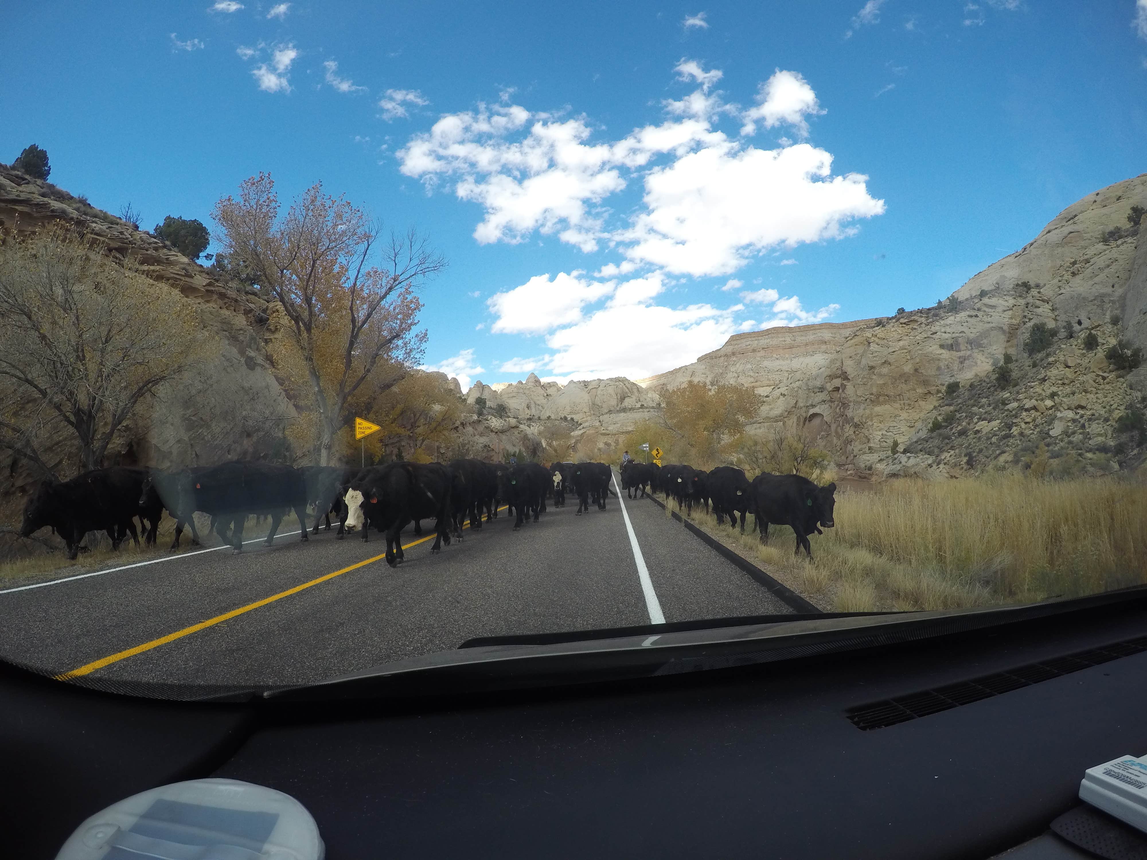 Camper-submitted photo at Capitol Reef National Park Dispersed Camping near Capitol Reef National Park